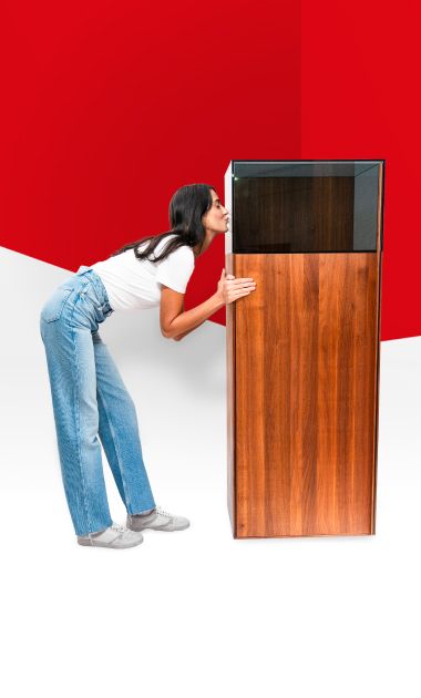 plappermaul referenz Ackerl Wildzaun CoverImage